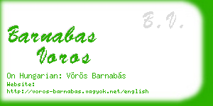 barnabas voros business card