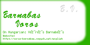 barnabas voros business card